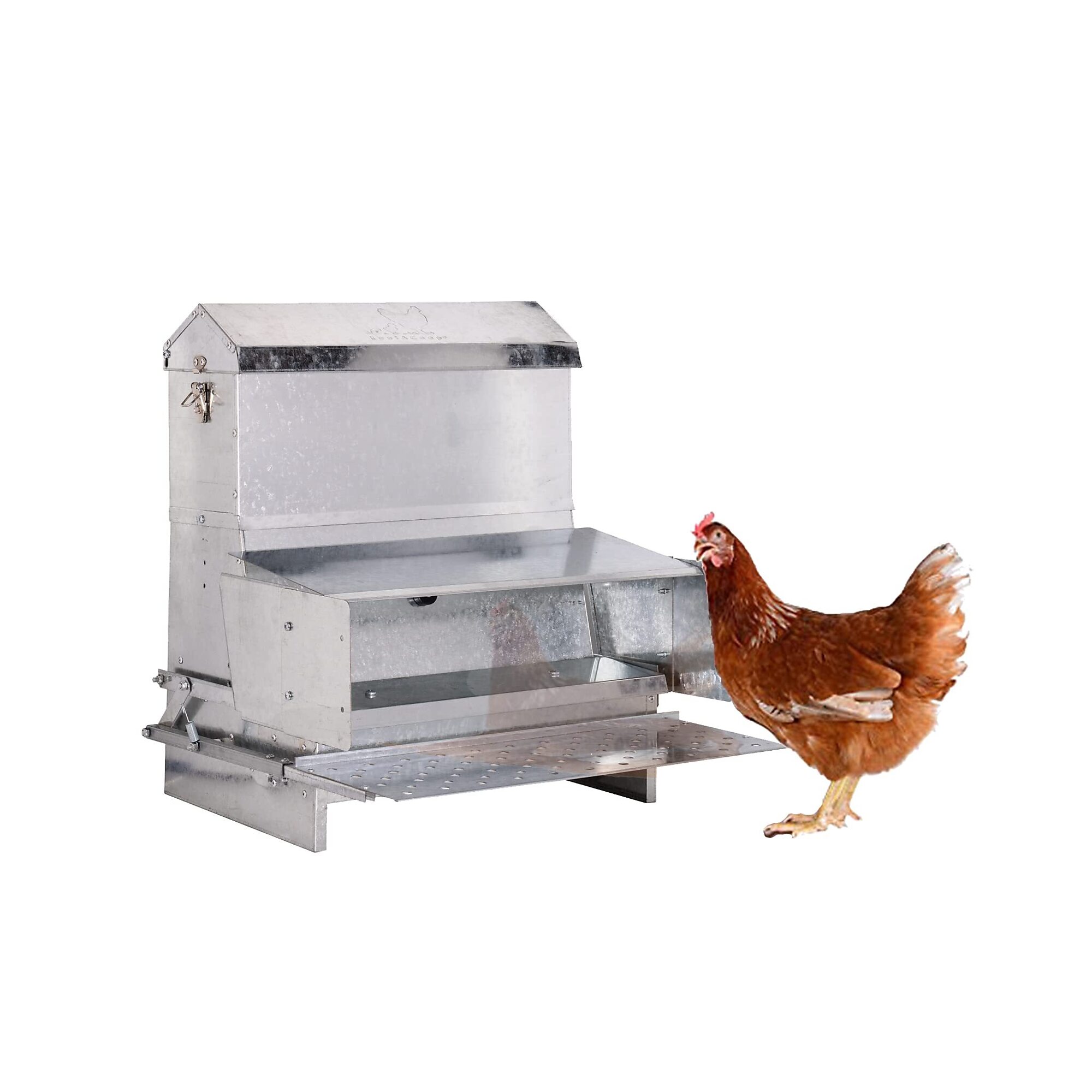 RentACoop, 40 Lb Automatic Metal Treadle Feeder, with Locking Anti-Roost Lid, Rain Hood, and Built-In Training, Model# MT-40LB-TRFD